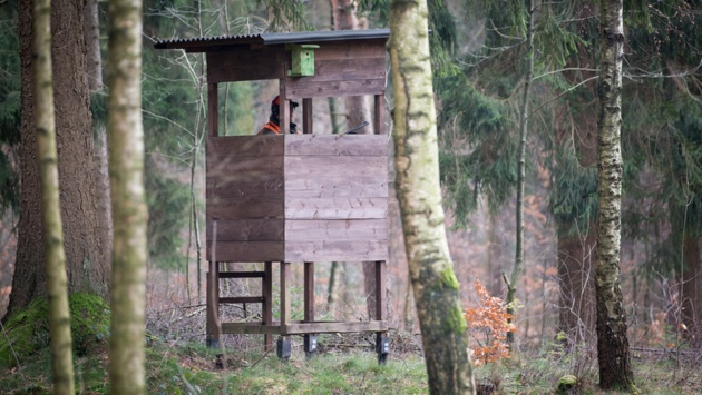 Ein Jäger sitzt in einem Wald auf einem Hochsitz.