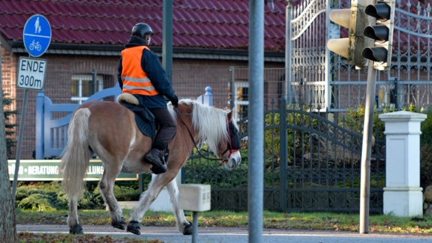 Eine Reiterin überquert in Tangstedt mit ihrem Pferd eine Straße an einer Fußgängerampel.