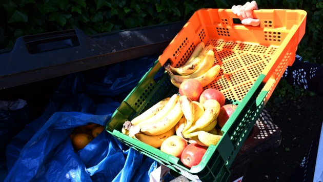 Jemand schüttet eine Kiste mit Lebensmitteln in einen Müllcontainer.