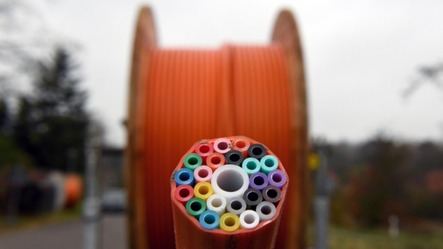 Kleine bunte Kabel sind in einem großen orangen Kabel im Querschnitt zu sehen.